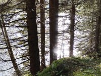 IMG 20180909 170930