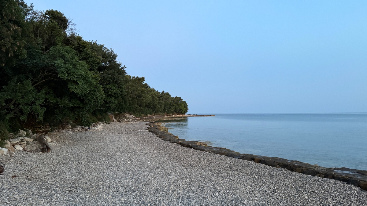 novigrad (6)