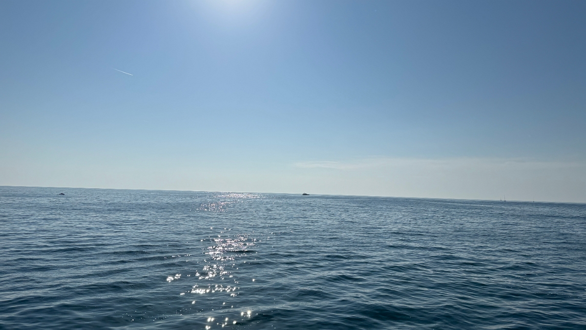 novigrad (8)