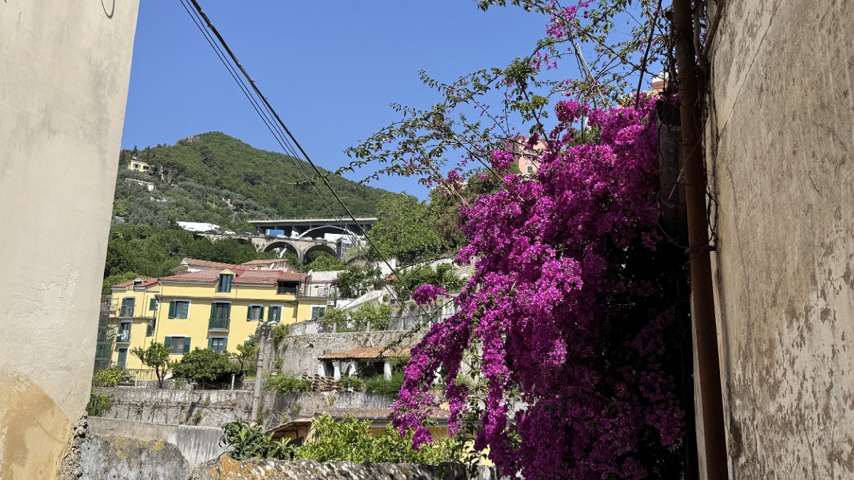 salerno (11)