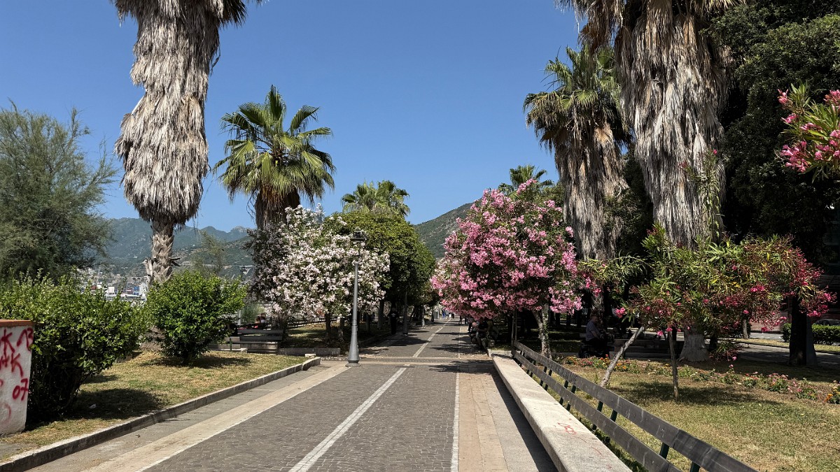 salerno (30)