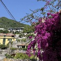 salerno (11)