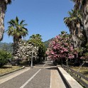 salerno (30)