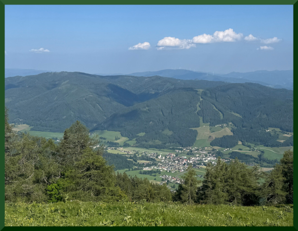 Turnau